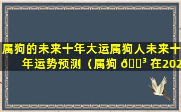 属狗的未来十年大运属狗人未来十年运势预测（属狗 🐳 在2022以后十 🕊 年大运）